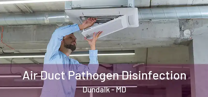  Air Duct Pathogen Disinfection Dundalk - MD