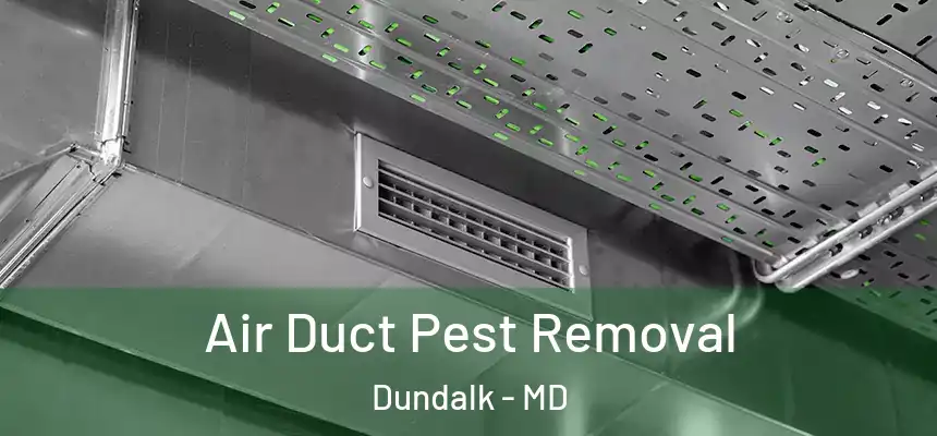 Air Duct Pest Removal Dundalk - MD