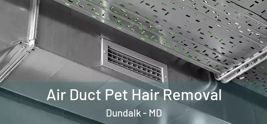 Air Duct Pet Hair Removal Dundalk - MD