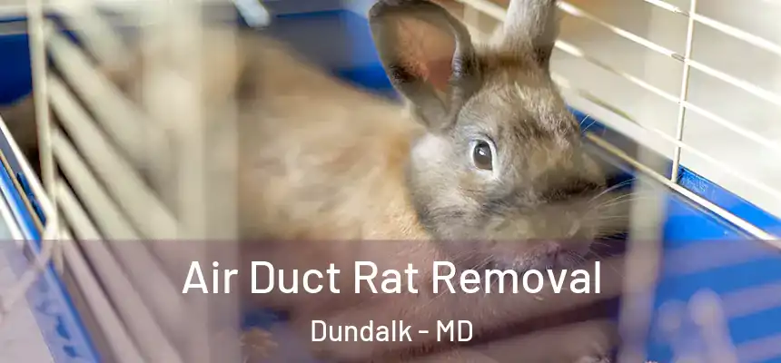 Air Duct Rat Removal Dundalk - MD