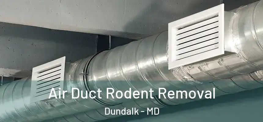 Air Duct Rodent Removal Dundalk - MD