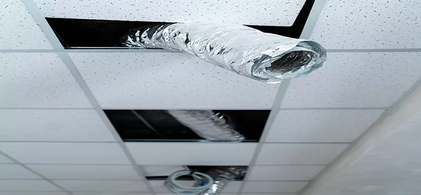 Our Air Duct Pet Hair Removal Services in Dundalk, MD