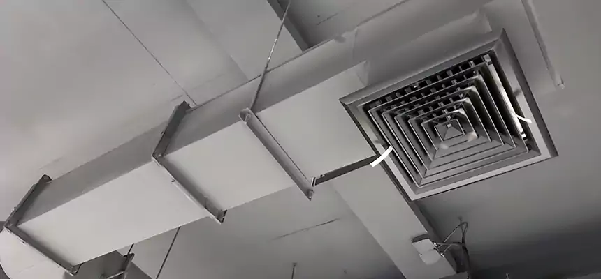 Our Pest Removal From Ducts Services in Dundalk, MD