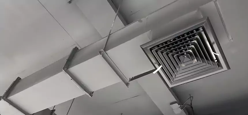 Our Rodent Droppings In Vents Services in Dundalk, MD