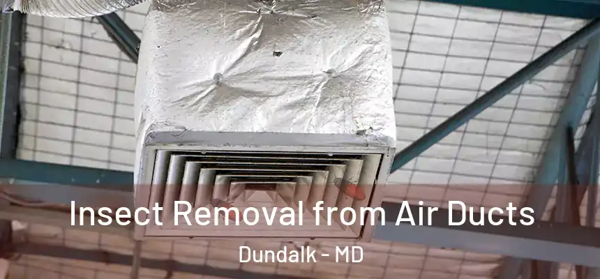  Insect Removal from Air Ducts Dundalk - MD