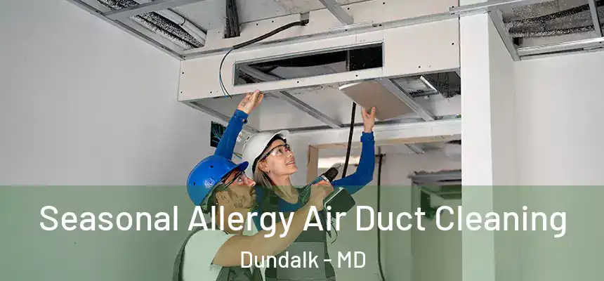 Seasonal Allergy Air Duct Cleaning Dundalk - MD