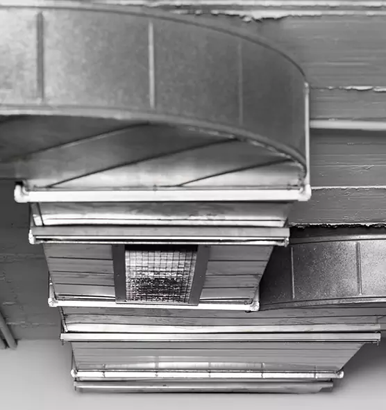 Professional Air Duct Pest Removal in Dundalk, MD