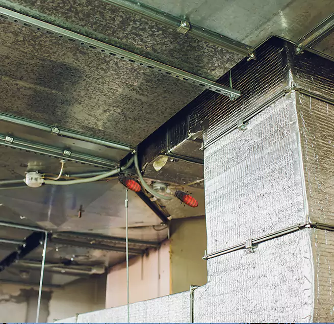 Why Homeowners & Businesses Trust Us in Dundalk, MD?