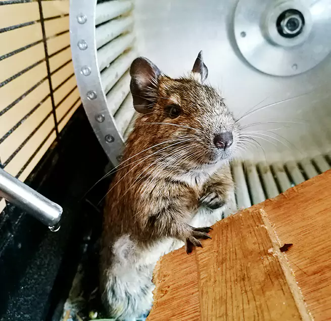 Why Homeowners & Businesses Trust Us Dundalk, MD?