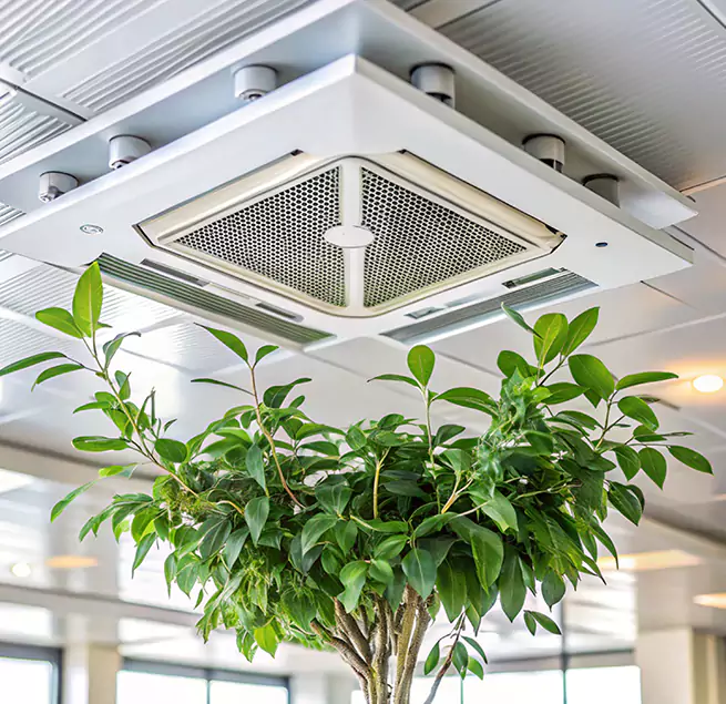 Why Homeowners & Businesses Trust Us in Dundalk, MD?