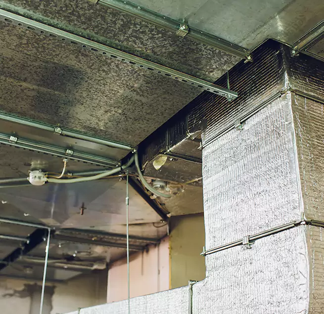 Why Homeowners & Businesses Trust Us in Dundalk, MD?